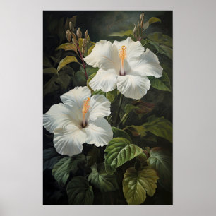 Poster d'impression d'Hibiscus blanc