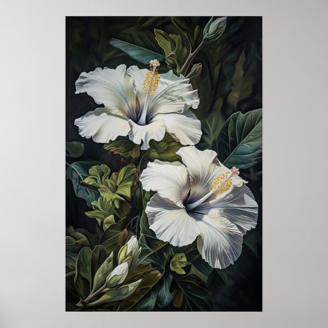 Poster d'impression d'Hibiscus blanc (Devant)