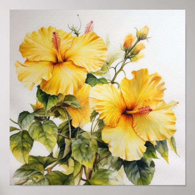 Poster d'impression d'hibiscus jaune (Devant)