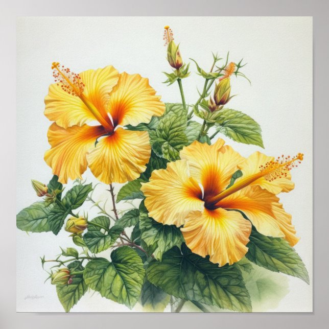 Poster d'impression d'hibiscus jaune (Devant)