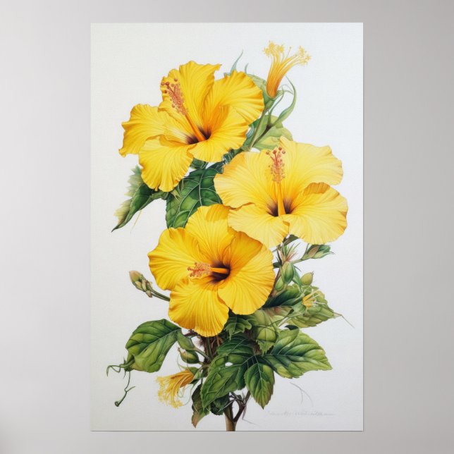 Poster d'impression d'hibiscus jaune (Devant)