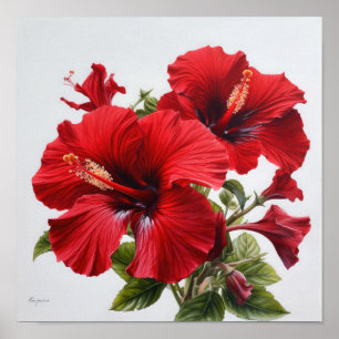 Poster d'impression d'hibiscus rouge