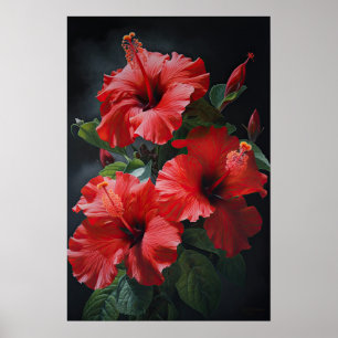 Poster d'impression d'hibiscus rouge