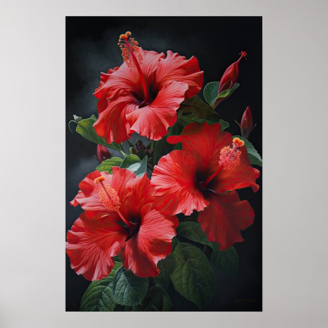 Poster d'impression d'hibiscus rouge (Devant)