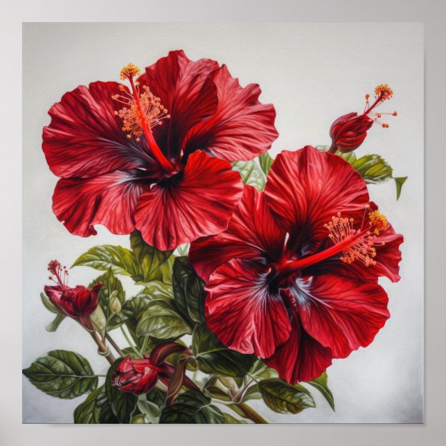 Poster d'impression d'hibiscus rouge (Devant)