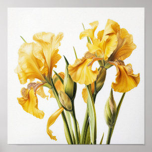 Poster d'impression d'images de fleurs irlandaises
