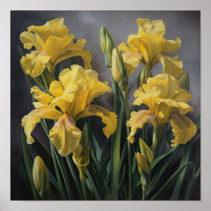 Poster d'impression d'images de fleurs irlandaises