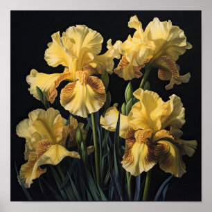 Poster d'impression d'images de fleurs irlandaises