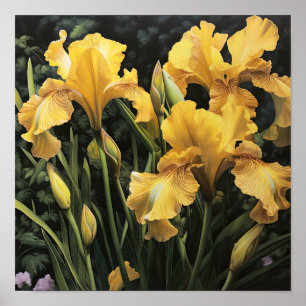 Poster d'impression d'images de fleurs irlandaises
