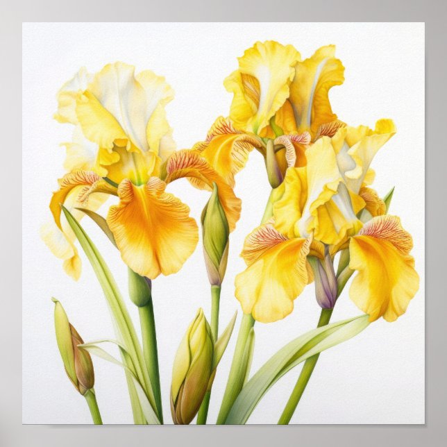 Poster d'impression d'images de fleurs irlandaises (Devant)