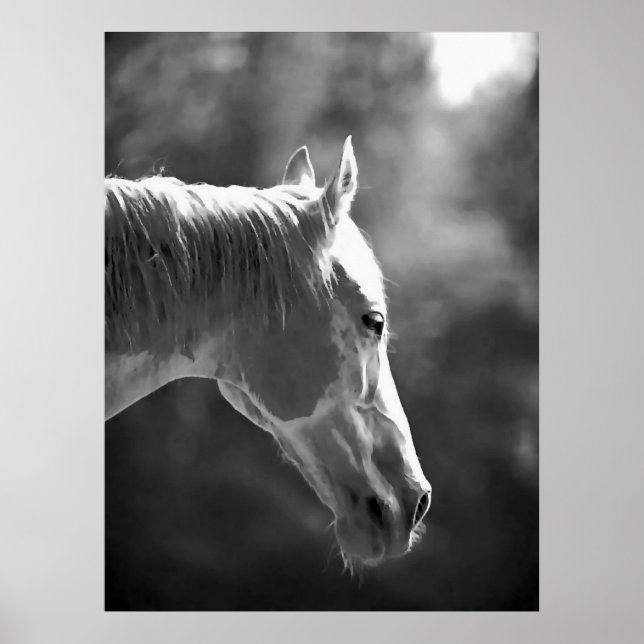 Poster d'impression du cheval Pop Art noir et blan (Devant)