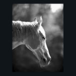 Poster d'impression du cheval Pop Art noir et blan<br><div class="desc">BW Horse Head Pop Art Posters Imprimantes - Black & White Farm Animals Photographie Digital Pop Art Artwork - Pop Art Black & White Horse Face Poster Imprimé avec petites,  moyennes,  grandes,  énormes - Giant,  taille colossale Poster. Immense Affiche De Cheval.</div>