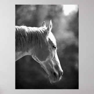 Poster d'impression du cheval Pop Art noir et blan