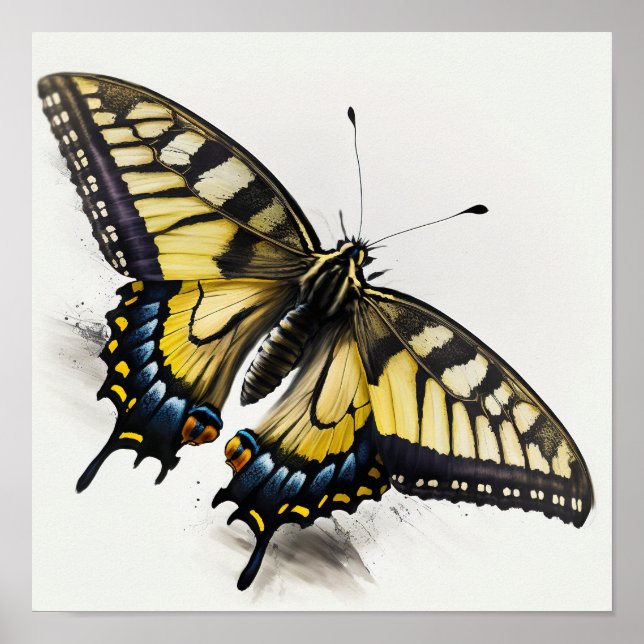 Poster d'impression d'un papillon Tiger Swallowtai (Devant)