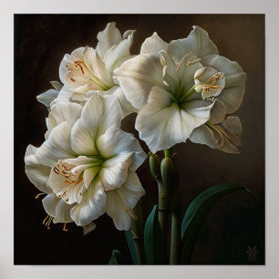 Poster d'impression en blanc Amaryllis Flower Art