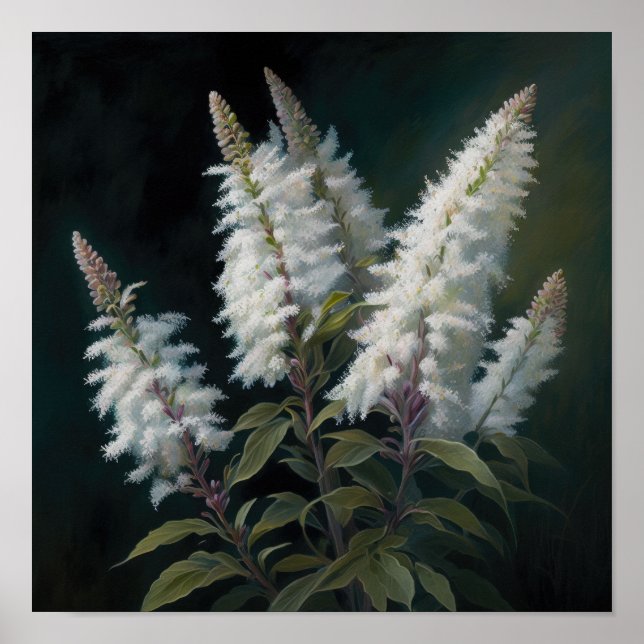 Poster d'impression en blanc Astilbe Flower Art (Devant)