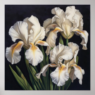 Poster d'impression en blanc Irises