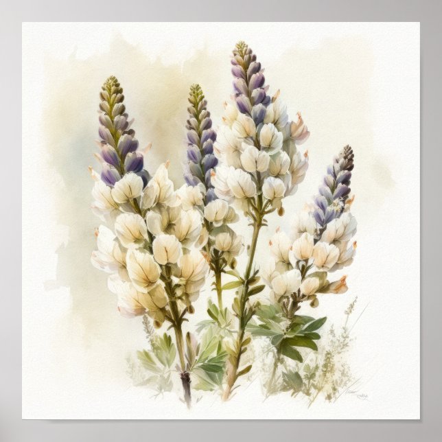 Poster d'impression en blanc Lupine Flower Art (Devant)