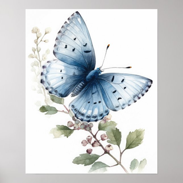 Poster d'impression Holly Blue Butterfly Art (Devant)
