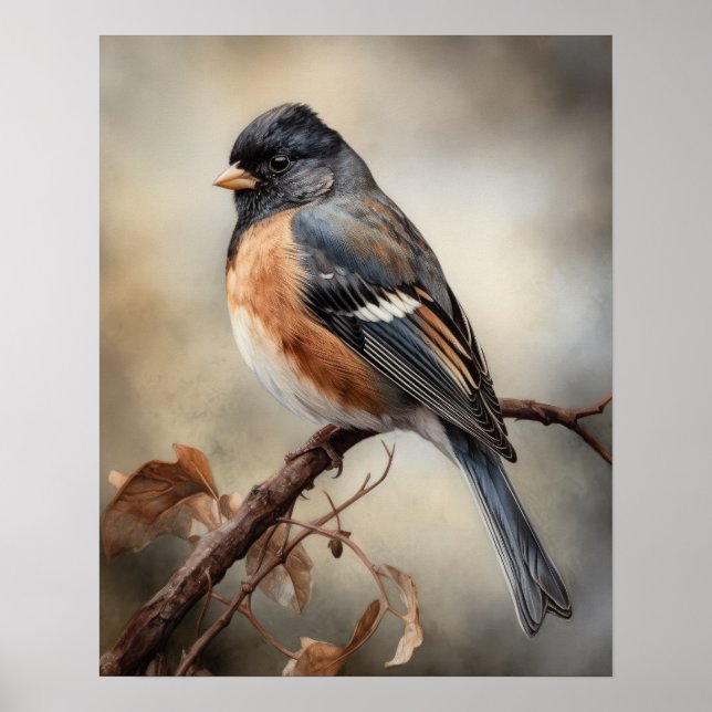 Poster d'impression Junco Bird Art (Devant)