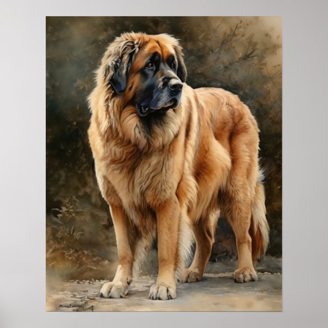Poster d'impression Leonberger Dog Art (Devant)