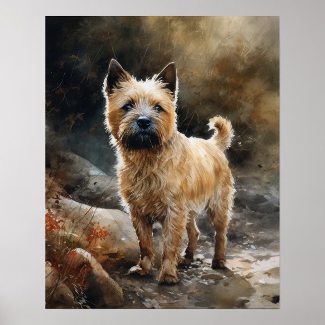 Poster d'impression Norwich Terrier Dog Art (Devant)