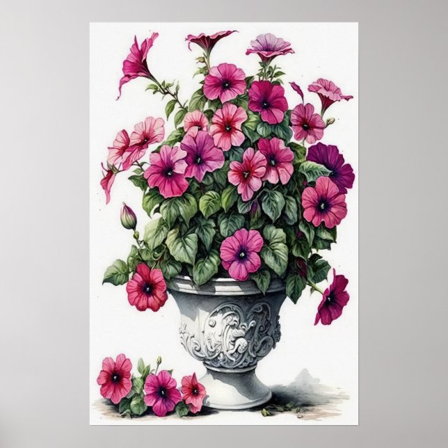 Poster d'impression Pink Petunias (Devant)