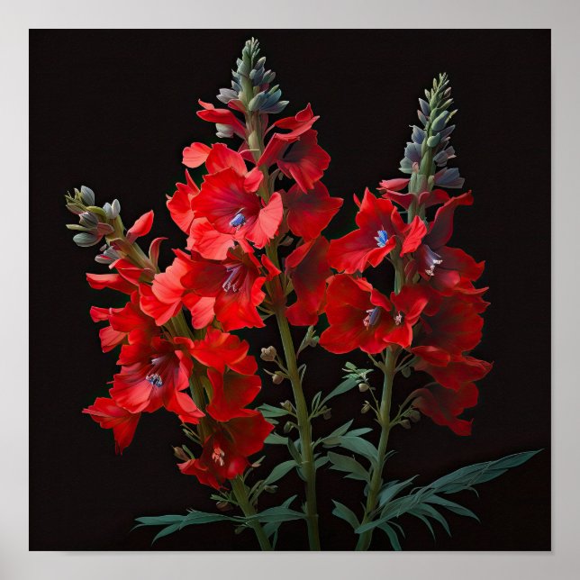 Poster d'impression Red Delphinium (Devant)
