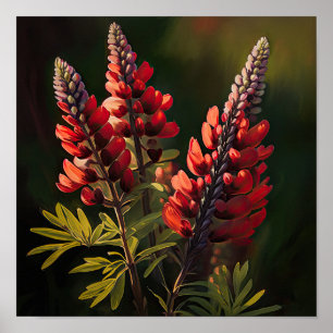Poster d'impression Red Lupine Flower Art