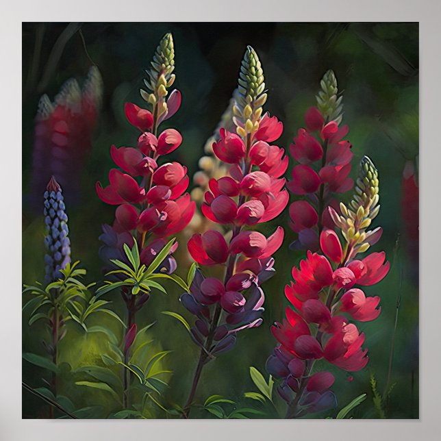 Poster d'impression Red Lupine Flower Art (Devant)