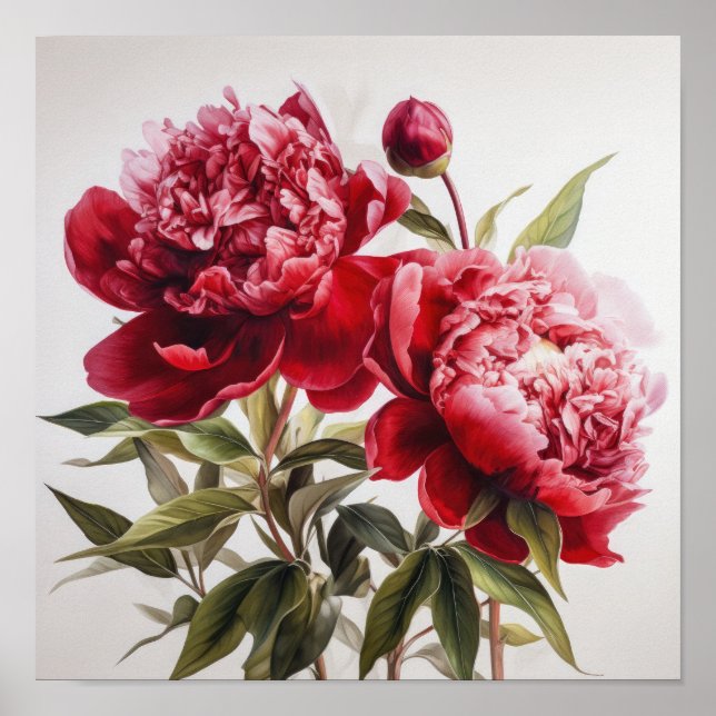 Poster d'impression Red Peonies (Devant)