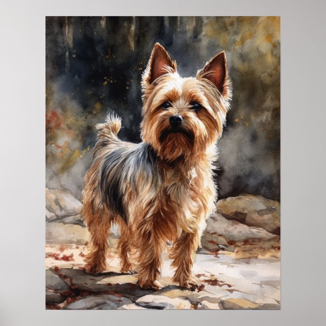 Poster d'impression Silky Terrier Dog Art (Devant)