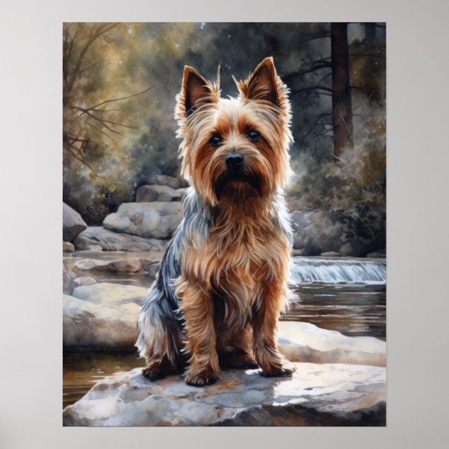 Poster d'impression Silky Terrier Dog Art (Devant)