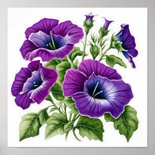 Poster d'impression violet Petunias