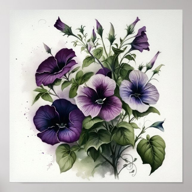 Poster d'impression violet Petunias (Devant)