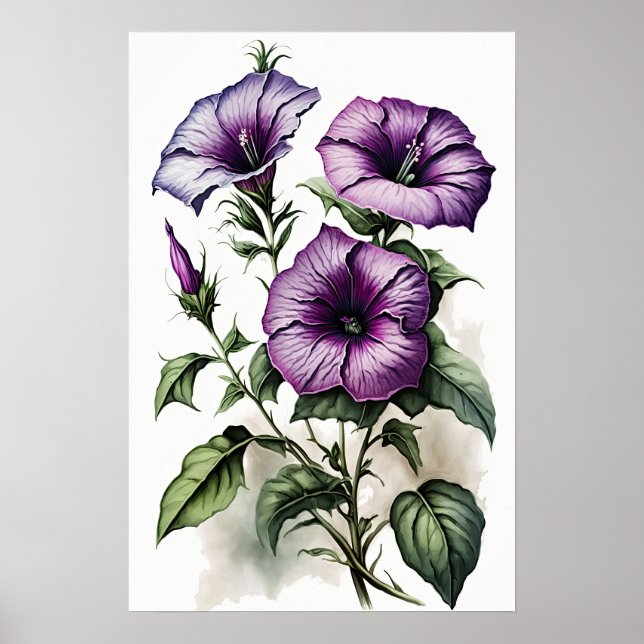 Poster d'impression violet Petunias (Devant)