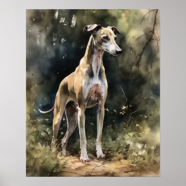 Poster d'impression Whippet Dog Art (Devant)