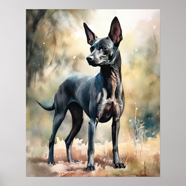 Poster d'impression Xoloitzcuintli Chien Art (Devant)