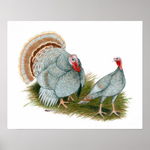 Poster Dindes :  Lilas