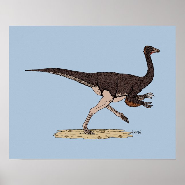 Poster Dinosaure Crétacé Ornithomimus (Devant)