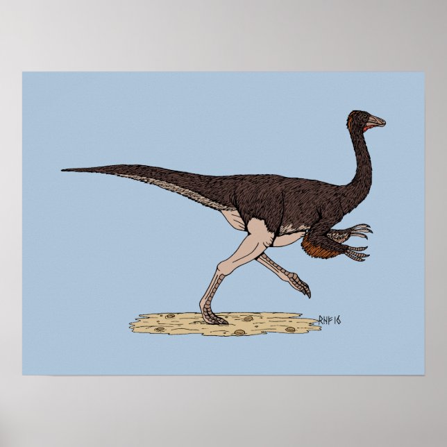 Poster Dinosaure ornithomimus crétacé (Devant)