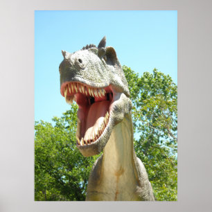 Poster Dinosaure T-Rex