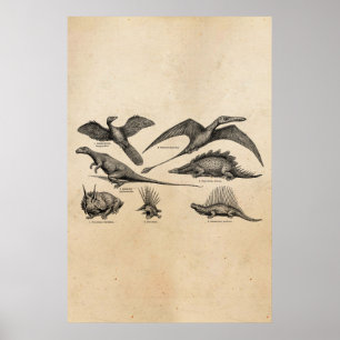 Poster Dinosaure vintage Illustration Dinosaures rétro