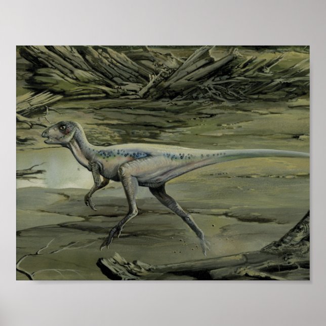 Poster Dinosaures vintages, Hypsilophodon crétacé (Devant)