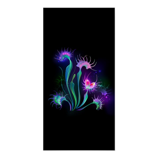 Poster Dionaea piège lumineux (Devant)