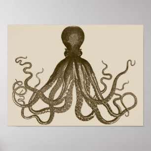 Poster d'Octopus antique