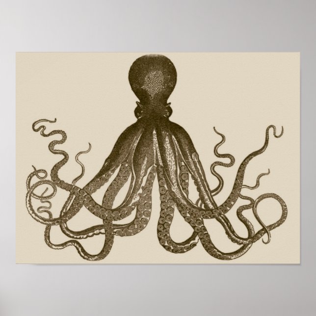 Poster d'Octopus antique (Devant)