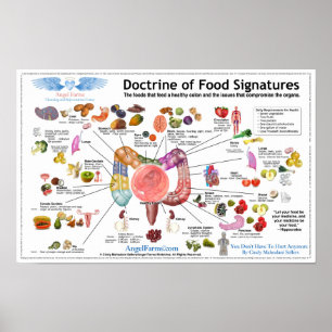 Poster Doctrine des signatures de nourriture