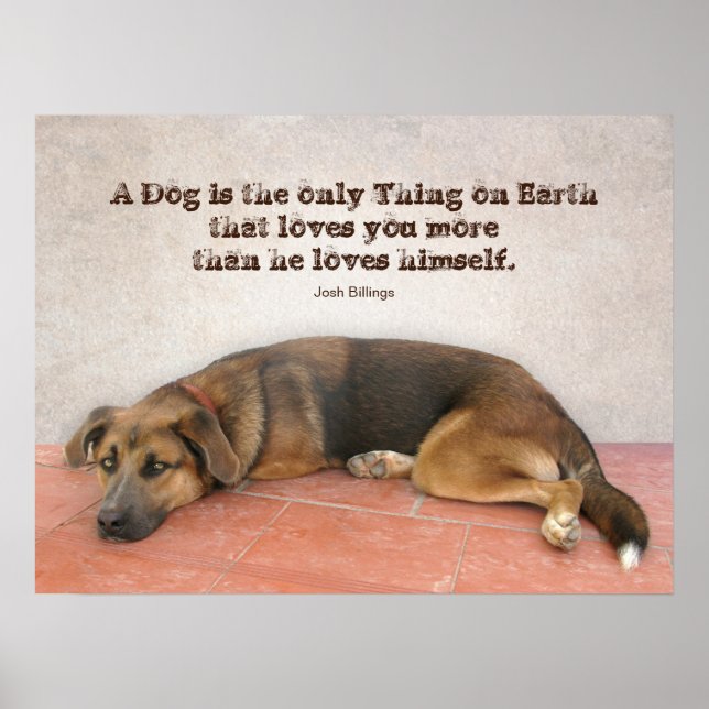 Poster Dog Quote (Devant)