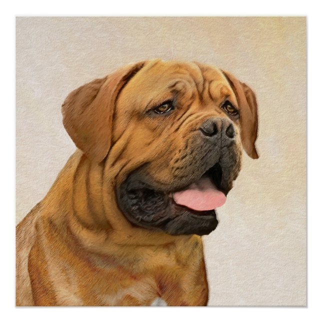 Poster Dogue de Bordeaux Peinture - Cute Original Chien A (Devant)